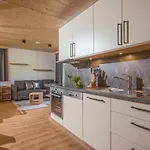 Apartment Johanna Gerlos