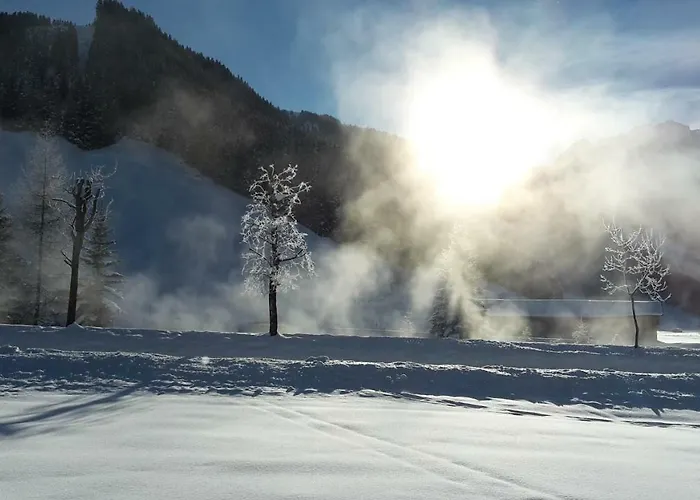 جوهانا جيرلوس